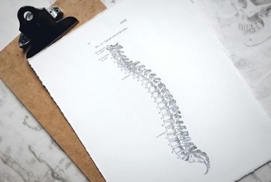 drawing of spine on clipboard