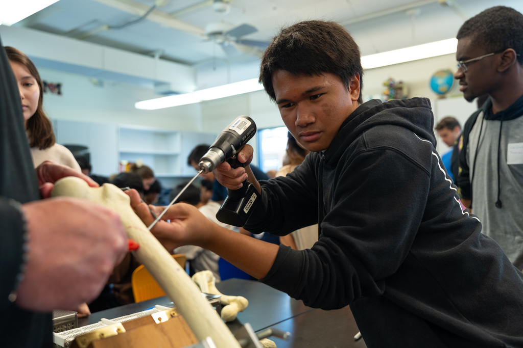 Students working on bones